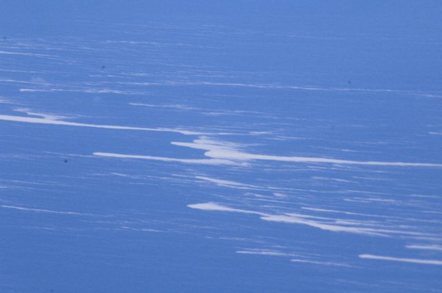 Τόνοι ελαφρόπετρας εμφανίστηκαν από το πουθενά ανοιχτά της Νέας Ζηλανδίας